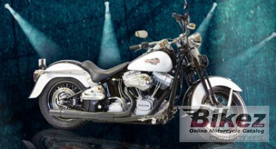 2009 Red Wing Flyer photo